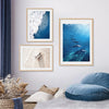 Toile impression d'art bleu océan blanc beige apnée dauphin requin 2