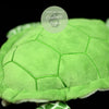 gros plan carapace verte à écailles - Jouet Peluche Tortue de Mer Verte Réaliste 30cm - Couleurs Lagon