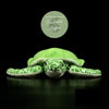 avant - Jouet Peluche Tortue de Mer Verte Réaliste 30cm - Couleurs Lagon