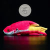 Jouet Peluche Réaliste Poissons du Lagon et Récifal 20cm 8in - Couleurs Lagon - bodianus mesothorax