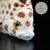 Jouet Peluche Réaliste Poissons du Lagon et Récifal 20cm 8in - Couleurs Lagon - spotted scatgros plan tete avant droit