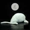 Jouet Peluche Réaliste Très Mignon Dugong 36cm - Couleurs Lagon - arriere droit