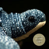 gros plan tête droite - Jouet Peluche Tortue Luth Bleu de Mer Réaliste 30cm - Couleurs Lagon