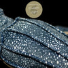 gros plan carapasse luth bleu - Jouet Peluche Tortue Luth Bleu de Mer Réaliste 30cm - Couleurs Lagon