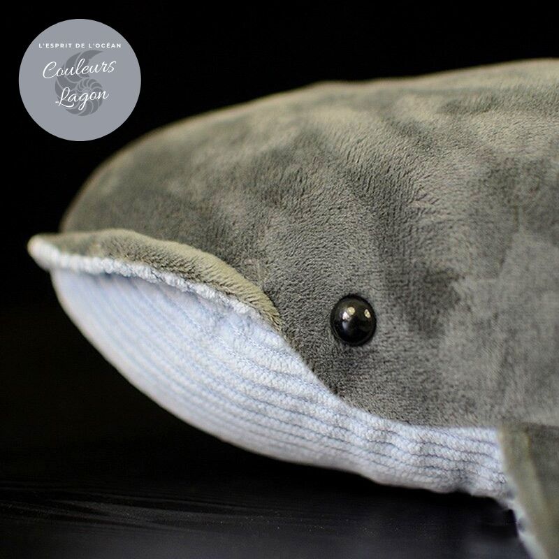 Peluche Réaliste Baleine Grise 40cm - Couleurs Lagon - gros plan tete gauche