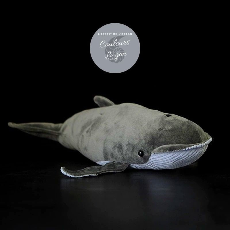 Peluche Réaliste Baleine Grise 40cm - Couleurs Lagon - avant droit