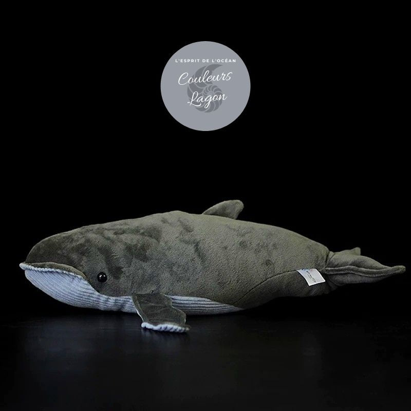 Peluche Réaliste Baleine Grise 40cm - Couleurs Lagon - profil gauche