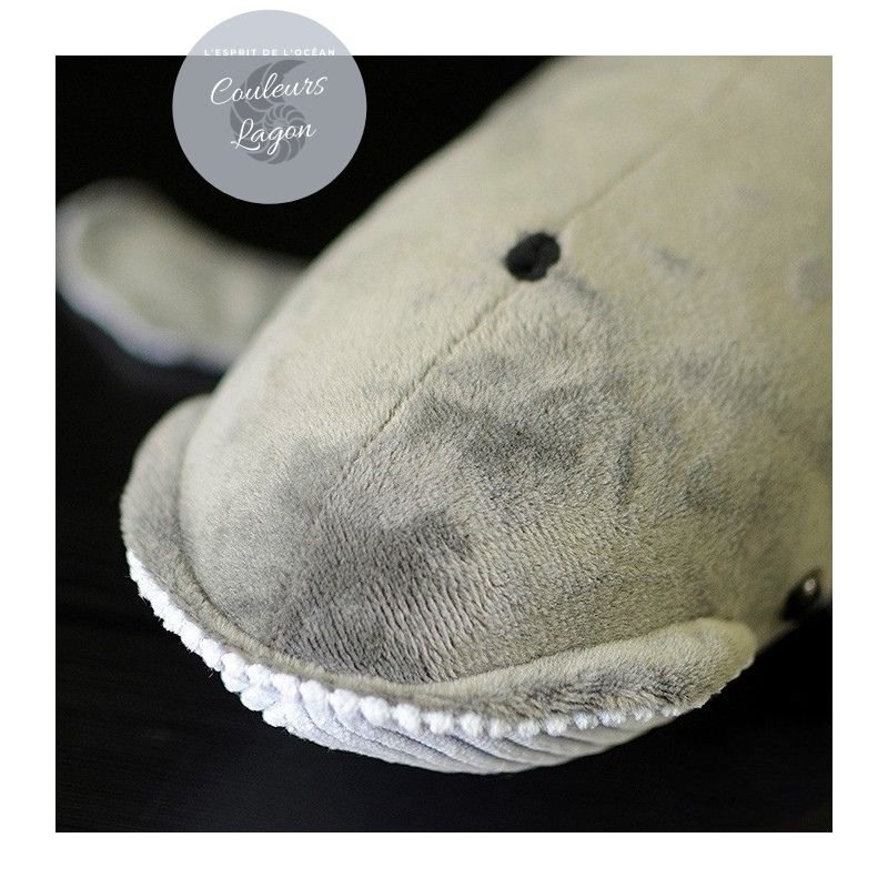 Peluche Réaliste Baleine Grise 40cm - Couleurs Lagon - gros plan dessus de tete et evan