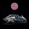 Peluche Réaliste Salamandre Axolotl 50cm - Couleurs Lagon - avant droit noir