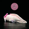 Peluche Réaliste Salamandre Axolotl 50cm - Couleurs Lagon - arriere gauche rose