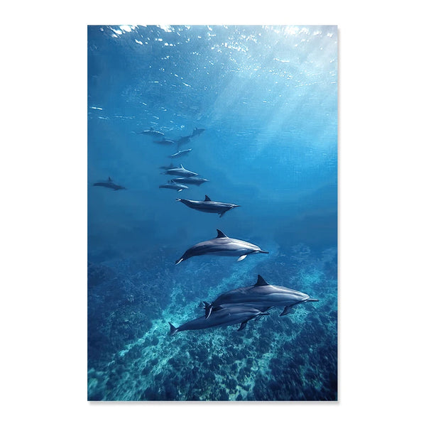 banc de dauphin - Toile impression d'art bleu océan blanc beige apnée dauphin requin - Couleurs Lagon