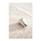 sable et coquillage - Toile impression d'art bleu océan blanc beige apnée dauphin requin - Couleurs Lagon