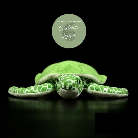 avant - Jouet Peluche Tortue de Mer Verte Réaliste 30cm - Couleurs Lagon