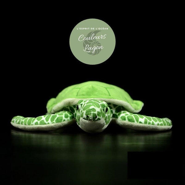 avant - Jouet Peluche Tortue de Mer Verte Réaliste 30cm - Couleurs Lagon