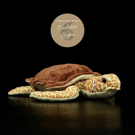 avant droit - Jouet Peluche Tortue de Mer à Écailles Marron Réaliste 30cm - Couleurs Lagon