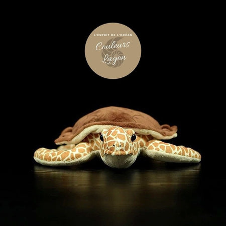 avant - Jouet Peluche Tortue de Mer à Écailles Marron Réaliste 30cm - Couleurs Lagon