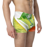 Boxers Caleçon Homme Floral PF13 Coléoptères - Couleurs Lagon