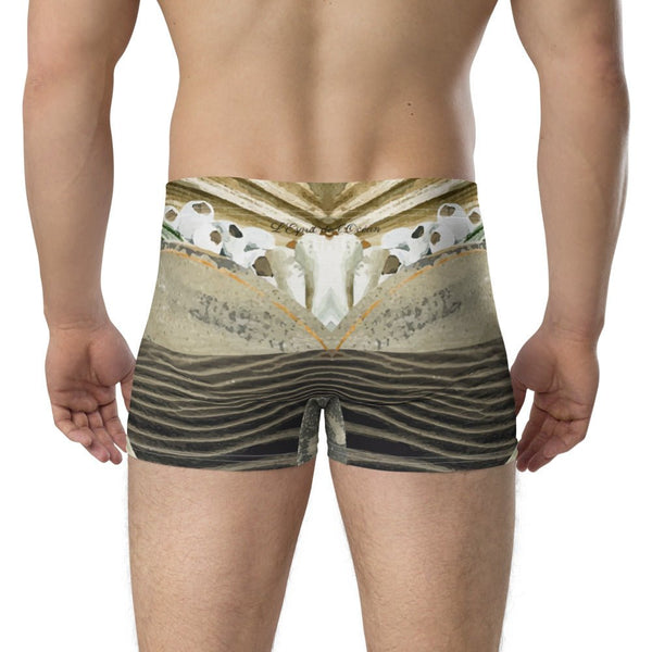 Boxers Caleçon Homme PM2 Hippocampe - Couleurs Lagon