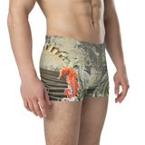Boxers Caleçon Homme PM2 Hippocampe - Couleurs Lagon