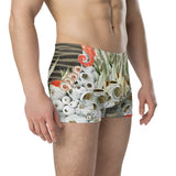Boxers Caleçon Homme PM2 Nautile - Couleurs Lagon