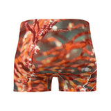 Boxers Homme Gorgones Rouge Nautile - Couleurs Lagon