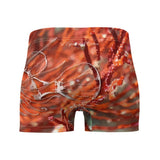 Boxers Homme Gorgones Rouge Poisson Dragon - Couleurs Lagon