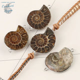 Bracelet Cuir Pierre Naturelle Ammonite Nautile Oeil De Tigre - Couleurs Lagon