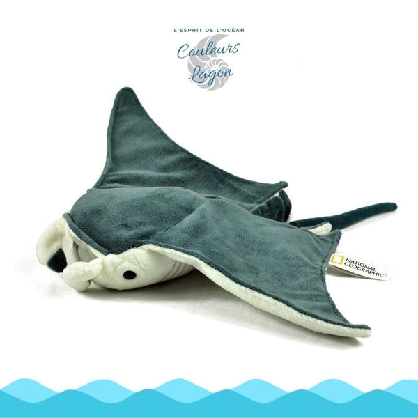 Jouet Peluche Raie Manta National Geographic 26x47cm - Couleurs Lagon - fond blanc