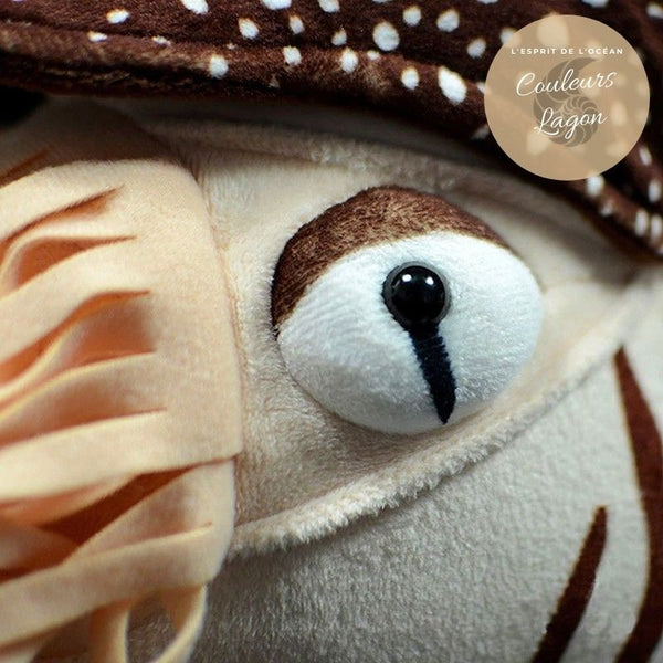Jouet Peluche Réaliste Nautile 20cm - Couleurs Lagon - gros plan finition hte qté yeux