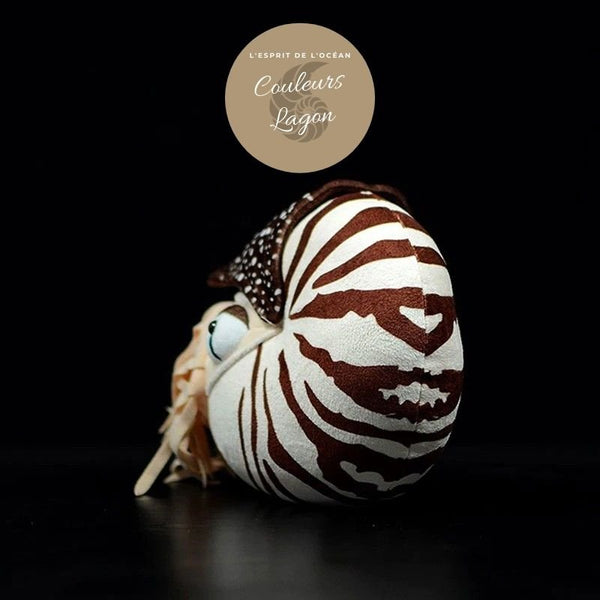 Jouet Peluche Réaliste Nautile 20cm - Couleurs Lagon - arriere gauche