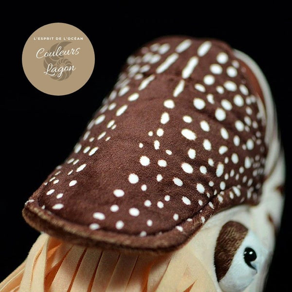 Jouet Peluche Réaliste Nautile 20cm - Couleurs Lagon - détail carapace superieure