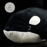 Jouet Peluche Réaliste Orque Epaulard 40cm 16in - Couleurs Lagon - gros plan tete avant gauche