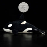 Jouet Peluche Réaliste Orque Epaulard 40cm 16in - Couleurs Lagon - profil gauche