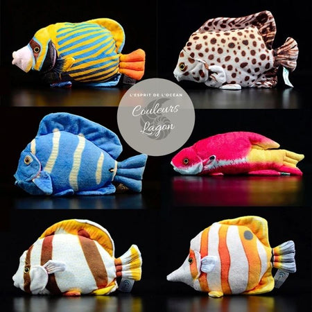 Jouet Peluche Réaliste Poissons du Lagon et Récifal 20cm 8in - Couleurs Lagon