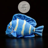 Jouet Peluche Réaliste Poissons du Lagon et Récifal 20cm 8in - Couleurs Lagon - regal blue tang