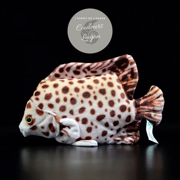 Jouet Peluche Réaliste Poissons du Lagon et Récifal 20cm 8in - Couleurs Lagon - spotted scat
