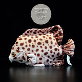 Jouet Peluche Réaliste Poissons du Lagon et Récifal 20cm 8in - Couleurs Lagon - spotted scat