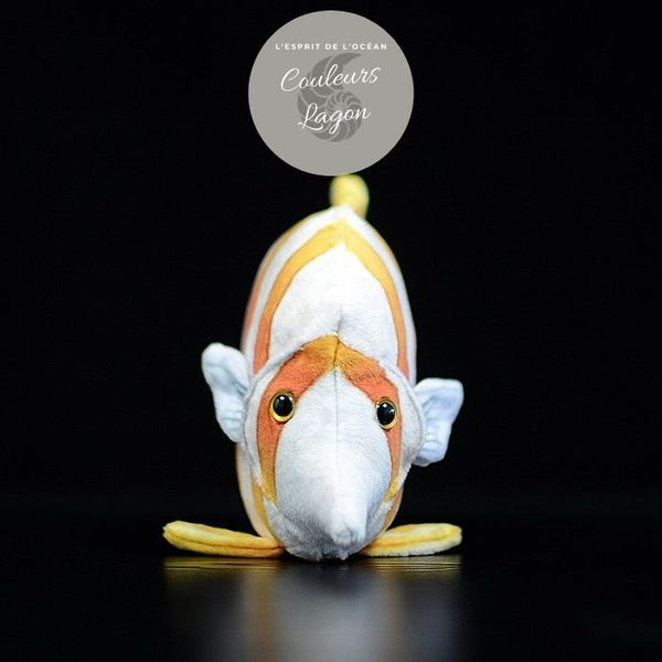 Jouet Peluche Réaliste Poissons du Lagon et Récifal 20cm 8in - Couleurs Lagon - rocket fich avant