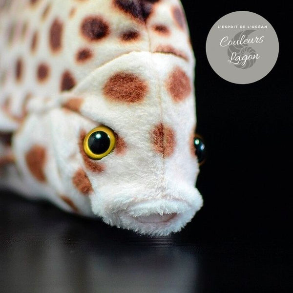 Jouet Peluche Réaliste Poissons du Lagon et Récifal 20cm 8in - Couleurs Lagon - spotted scatgros plan tete avant droit