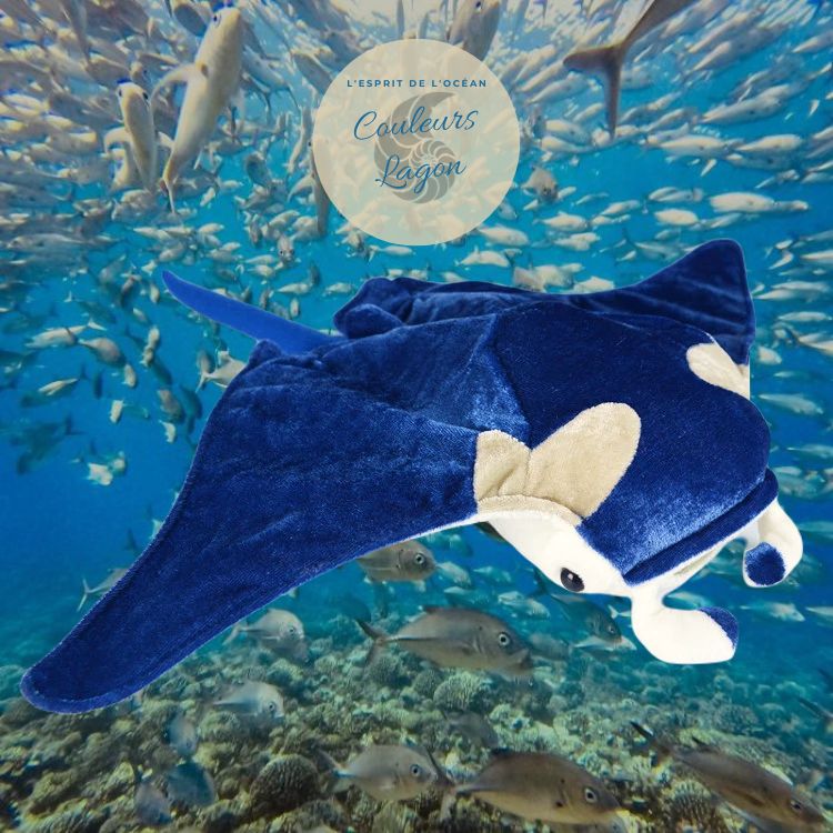 Jouet Peluche Réaliste Raie Manta Bleu 21x42cm - Couleurs Lagon - fond mer