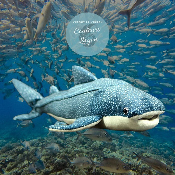 Peluche requin baleine réaliste 54 cm — Couleurs Lagon — vue face fond marin