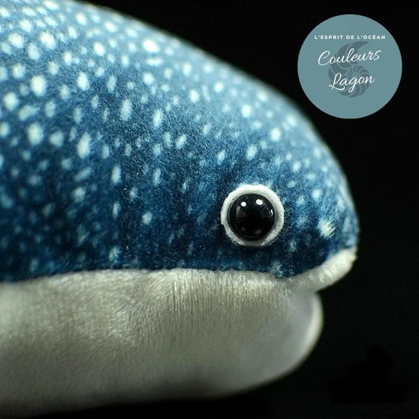 Peluche requin baleine réaliste — gros plan tête et yeux — Couleurs Lagon