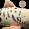 Jouet Peluche Réaliste Requin Tigre 52cm 20.50in - Couleurs Lagon