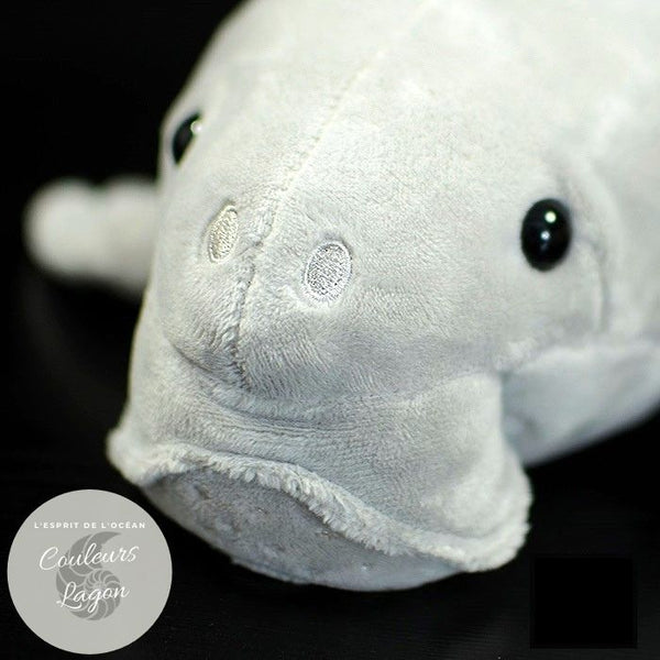 Jouet Peluche Réaliste Très Mignon Dugong 36cm - Couleurs Lagon - gros plan tete