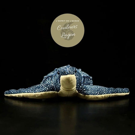 avant - Jouet Peluche Tortue Luth Bleu de Mer Réaliste 30cm - Couleurs Lagon