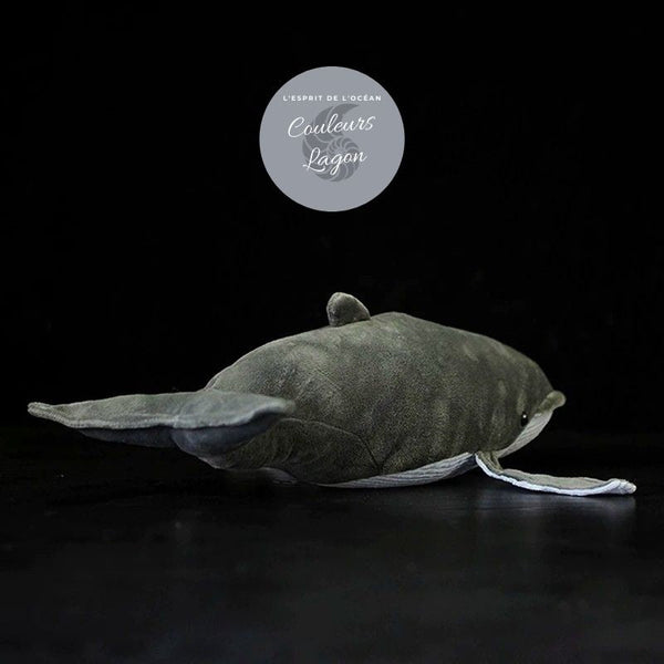 Peluche Réaliste Baleine Grise 40cm - Couleurs Lagon - arriere droit