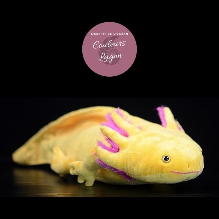 Peluche Réaliste Salamandre Axolotl 50cm - Couleurs Lagon