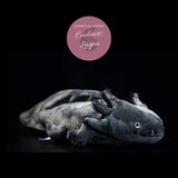 Peluche Réaliste Salamandre Axolotl 50cm - Couleurs Lagon - avant droit noir