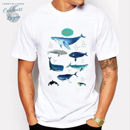 T-shirt Homme Requin & Baleine - Couleurs Lagon
