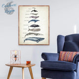 Tableau de Comparaison des Tailles de Baleine Impression d'Art - Couleurs Lagon